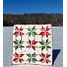 A head on shot of the completed Vintage Stars quilt, held aloft by a model in a snowy field under a blue winter sky.