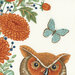 Fabric with an owl with orange and brown feathers, surrounded by colorful flowers and a blue butterfly.