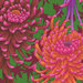 A vibrant floral pattern featuring various chrysanthemums in shades of pink, orange, and purple against a green background