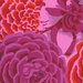 An 8x8 close up of the flowers to show detail and scale.