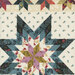 close up image of a quilting star pattern 