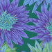 Vibrant purple flowers with teal centers set against a green background, featuring leafy accents.