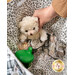 A hand places a plush teddy bear into a patterned storage tote with snacks and a green bottle.