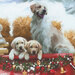 A festive scene featuring a golden retriever and two puppies by a decorated red box with Christmas ornaments.