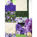 A super close up on the patchwork of the quilt, demonstrating fabric colors, prints, and details. A coordinating flower peeks into frame from the right side.