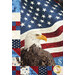 A close up shot of the left side of the bald eagle panel, demonstrating detail and scale. A bald eagle sits in front of an American flag.