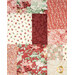 A head-on shot of the patchwork center of the quilt, demonstrating fabric, piecing, and stitching details.
