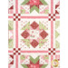 A super close up on one of the blocks, demonstrating details on the patchwork, fabric, and top quilting details.