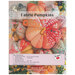 The front of the Fabric Pumpkins pattern, featuring a top-down image of the finished pumpkins in a large pile.