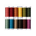 The thread set for the Autumn House Block of the Month, featuring twelve spools in various autumn colors, isolated on a white background.