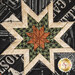 A super close up on the center of the hot pad, demonstrating fabric details on the beautiful folded star center.