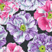 Black fabric with tossed pink and purple variegated flowers.