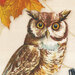 Section of canvas project panel featuring an owl.