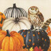 Close up of owl and pumpkins.