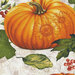 an 8x8 swatch of the fabric featuring a pumpkin, leaves, and berries on a cream floral background.