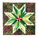 Close up of one of the paper pieced stars inside.