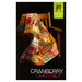 The front of the Cranberry Chutney Quilt Pattern featuring a geometric and plaid patchwork pattern