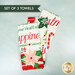 Set of three festive holiday towels with red and green floral designs.