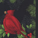 An 8x8 close up shot of the panel fabric featuring a cardinal with holly leaves and red berries on an ornamental black background.