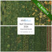 Collage of the seventeen fabrics included in the 17 FQ Set Green/Gold by Stof Fabrics.