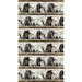 Border print fabric with light and dark horses on textured tan, with wooden stripes