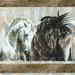 Closeup swatch of the border print with a black and white horse in motion.