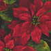 Large red poinsettias on a black background | Shabby Fabrics