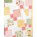 A close up image of the quilt, demonstrating fabric colors and print details as well as top quilting effects.