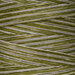 A variegated olive green and gray swatch of Weeks Dye Works floss.