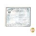 Package of Quilters Dream Cotton batting, isolated on a white background.
