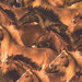 an 8x8 swatch of the image featuring a collage of running horses