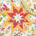 A top down image of the folding star at the center of the hot pads, showing patchwork detail and symmetry of the design.