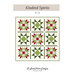 Front cover of the pattern featuring a 3 by 3 grid of lovely patchwork stars in red, white, and green.