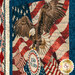 A stylized shot of the bald eagle on the panel. 