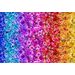 Rainbow ombre fabric featuring a packed collage of flowers and butterflies.