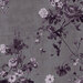 Vining wisteria print on a mottled warm gray background.