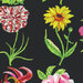 An 8x8 swatch of the black fabric featuring a close up of the florals.