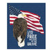 Panel of a bald eagle in front of an American flag with "Land of the Free because of the Brave" next to them on a blue fabric.
