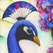 An 8x8 swatch of the peacocks head one the panel. 
