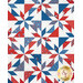 A shot of the patchwork of the quilt, demonstrating fabric, piecing, border, and binding details.