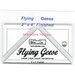 The 2" x 4" Flying Geese Square Up Ruler in its packaging and isolated on a white background. 