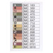 color chart featuring DMC floss requirements and stitch symbols