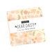 The Dear Daisy Mini Charm Pack in its packaging, isolated on a white background. 