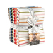 The Magic Stripe Fat Quarter Bundle in its packaging, isolated on a white background. 