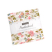 The Meadowbrook Charm Pack in its packaging, isolated on a white background. 