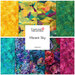 Colorful quilt cover design with the words “Timeless Treasures Vibrant Sky” in the center.