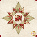 A head-on close up of a patchwork star, showing details fabric colors, prints, and top quilting details.