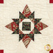 A head-on close up of a patchwork star, showing details fabric colors, prints, and top quilting details.