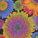 an 8x8 swatch of the black fabric featuring tossed gerbera daisies in saturated colors like magenta, green, orange, ocher, and blue.
