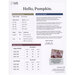 Back of the pattern listing floss and material requirements. 
